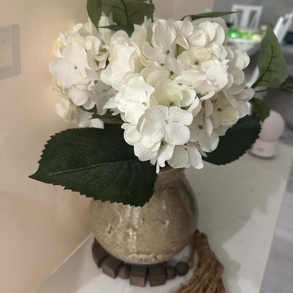 Elegant White Floral Arrangement in Ceramic Vase - Picture 2 of 6